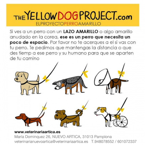Proyecto Lazo amarillo